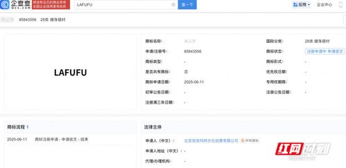 長沙市知識產(chǎn)權(quán)局服務(wù)指南 內(nèi)資公司注冊流程與知識產(chǎn)權(quán)保護(hù)